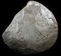 Dark Amethyst Crystal Geode - Top Quality #37286-2